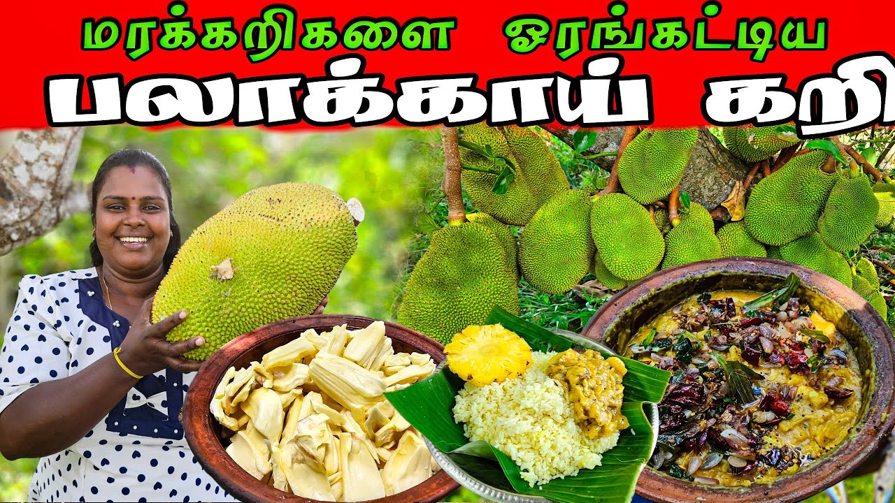 எனக்கு பிடிச்சு போச்சு | Our Village life ♥️ | vanni vlog