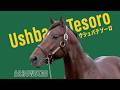 ウシュバテソーロ