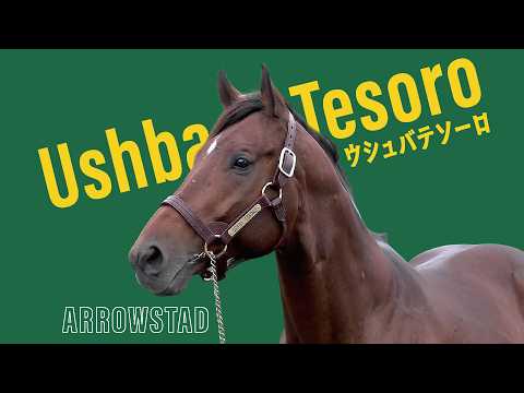 ウシュバテソーロ