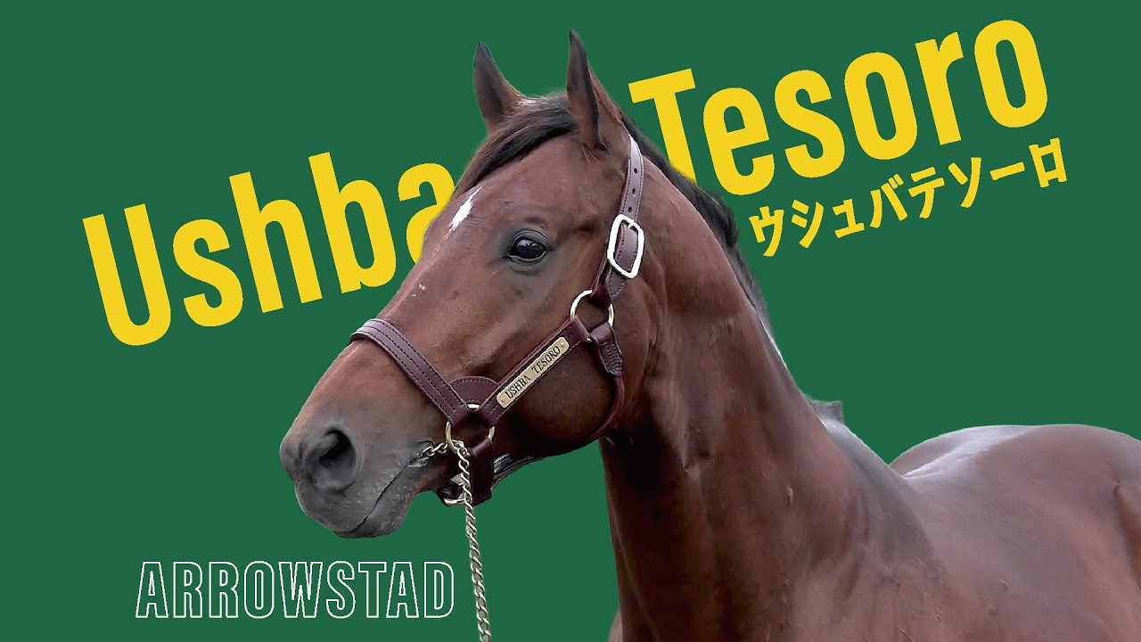 ウシュバテソーロ
