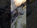 RcArty crawling arty Falls #rc #offroad