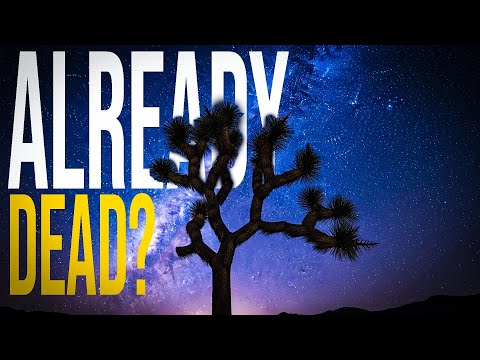 Joshua Tree Plant NYT: Science Vs. Survival
