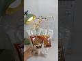 Paket basreng #basreng#basrenglontong#viralshort#viralvideo#fypシ゚viral