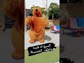 السبع له هيبه  عاطف المتسيط حالتي
