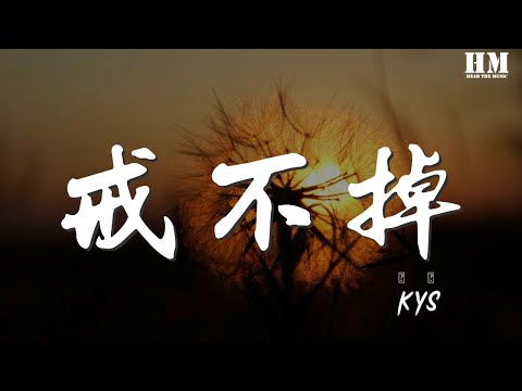 KYS - 戒不掉『誰人願伴你到成年』【動態歌詞Lyrics】