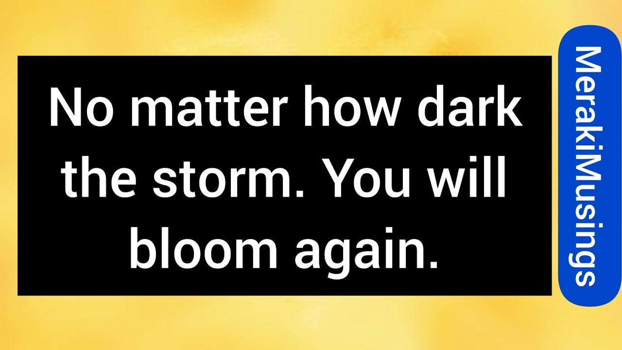 You will bloom again YouTube