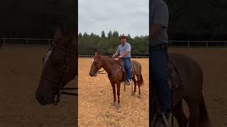 Faça isso no treinamento do seu cavalo