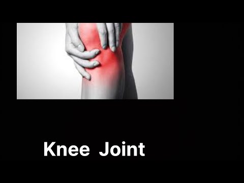 Knee Exercises for the patient having knee pain, osteoarthritis, knee injury etc #exercisetherapy