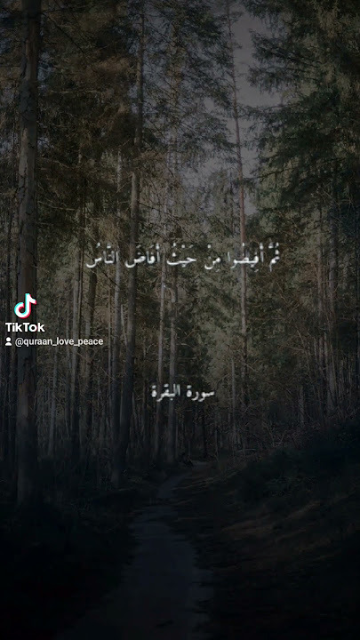 محمد صديق المنشاوي سورة البقرة الاية 199 #القرآن_الكريم #quran #سورة_البقرة #hajj #islam