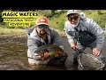 Magic waters  patagonia trout adventure