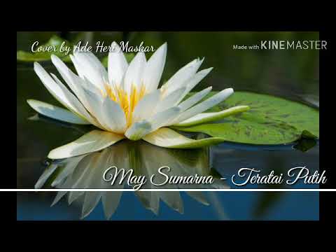 May Sumarna Teratai Putih Cover By Ade Heri Maskar Youtube