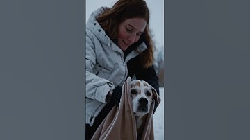❄️ Cold Weather Warning: Protect Your Pets! 🐶❤️