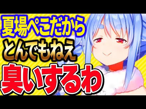 野うさぎのボケにキレッキレなツッコミで返す兎田ぺこら【ホロライブ/兎田ぺこら /切り抜き】