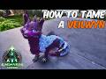 How To Tame a Veilwyn in ARK Survival Ascended Ragnarok + Full Ability Guide