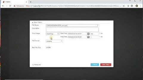 How to drive the Synesis 100G Protocol Analyzer