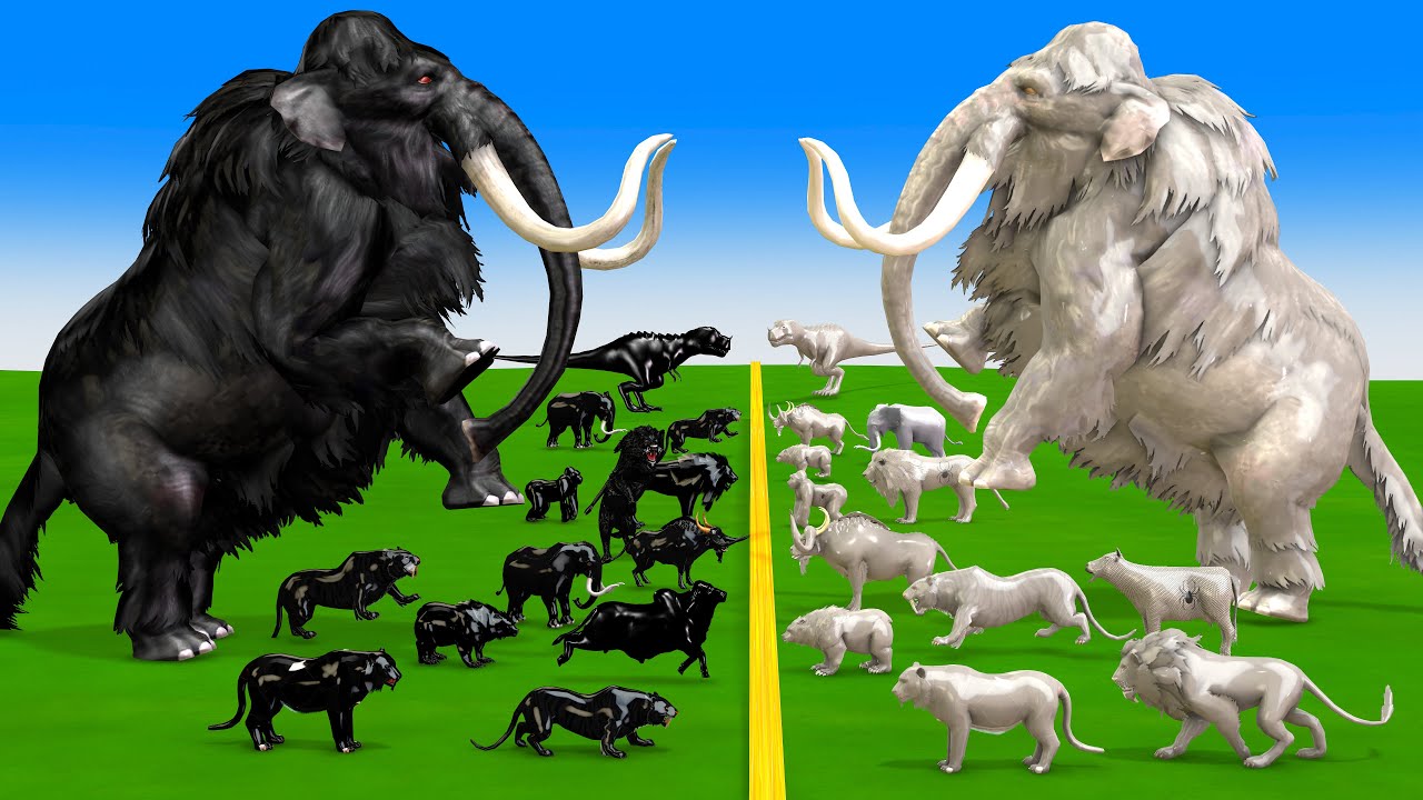 10 White Elpehant Mammoth vs Prehistoric Mammals vs Black Albino Animals Size Comparison vs Animals