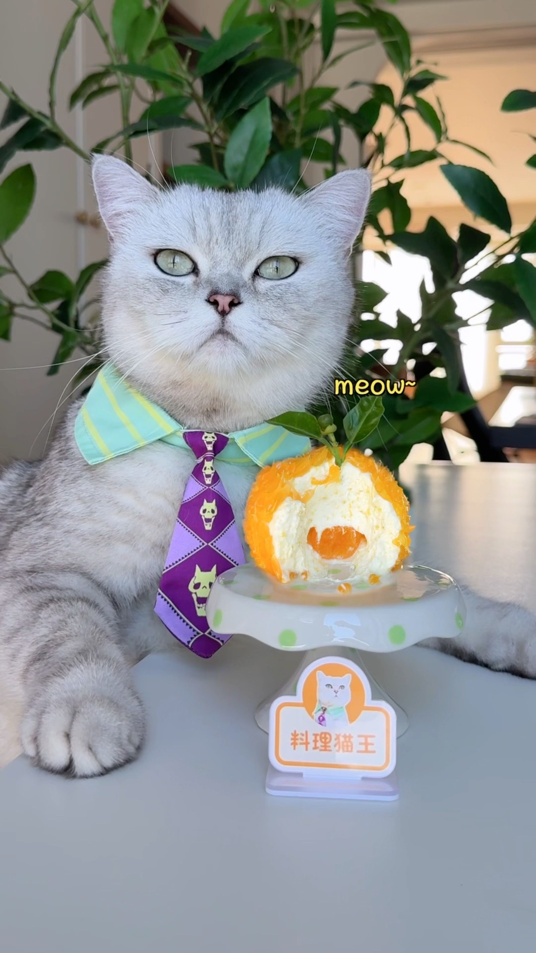 Take 24 hours to make an orange cake ?Satisfaction ( ^ _ ^) ?