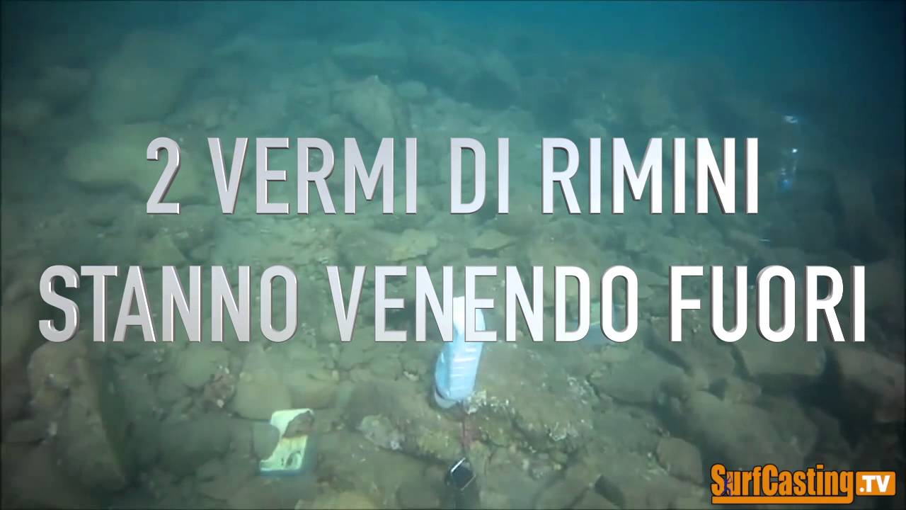 COME VIENE PRESO IL VERME DI RIMINI IN NATURA