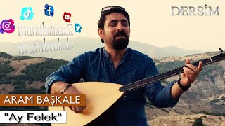 Aram Başkale - Ay Felek