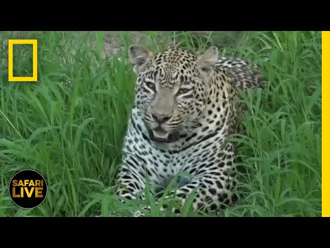 Video: Matobo National Park cov lus piav qhia thiab duab - Zimbabwe: Bulawayo