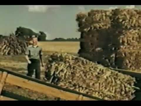 American Farmer Movie - 1953, Blazey Family | Ford Motor Company