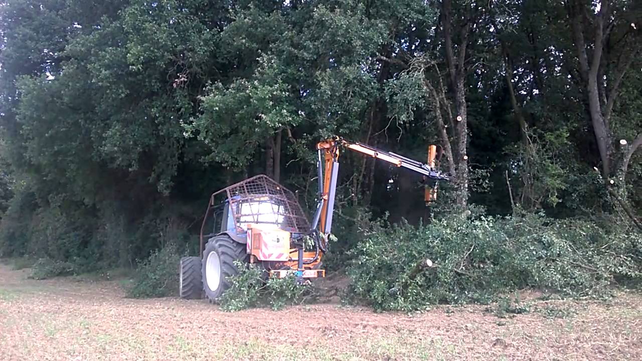 elegage rousseau fulgor et lamier noremat