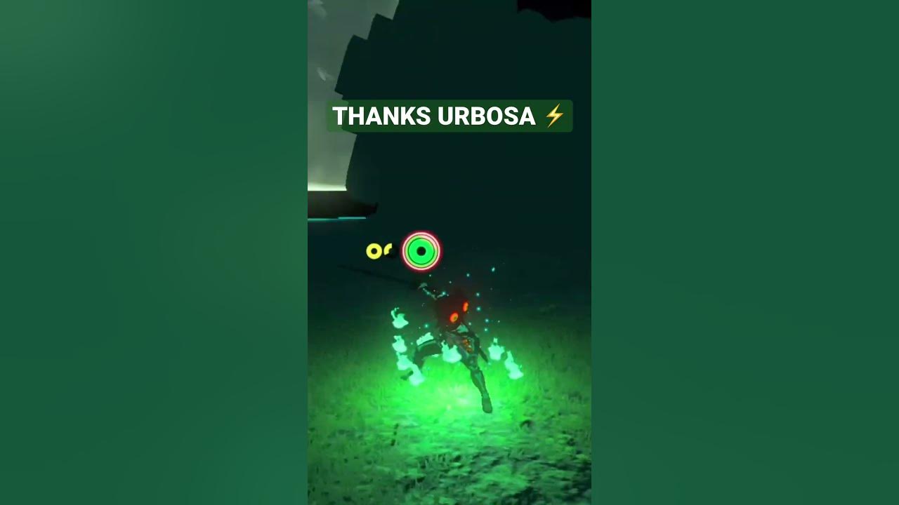 Urbosa’s Fury Trick! 👀 Breath of the Wild ⚡️ Thyphlo Ruins Hack #shorts #zelda