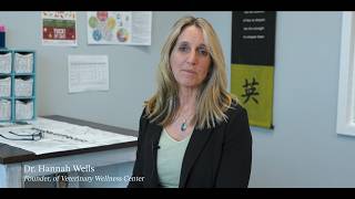 Introducing VetinaryWellnessCenter