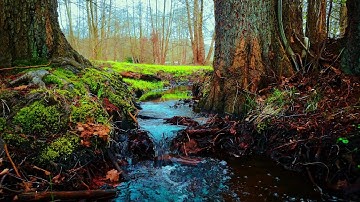 من اجمل تلاوات القرآن الكريم مع صوت خرير الماء