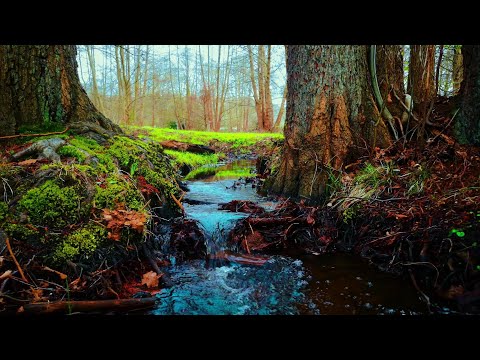 من اجمل تلاوات القرآن الكريم مع صوت خرير الماء 