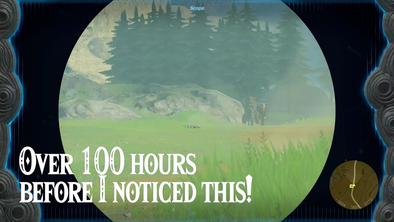 Anyone Else Notice This? | Legend of Zelda Tears of the Kingdom. - YouTube