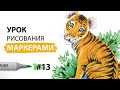 Как нарисовать тигра? / Урок по рисованию маркерами для новичков #13