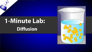 Diffusion