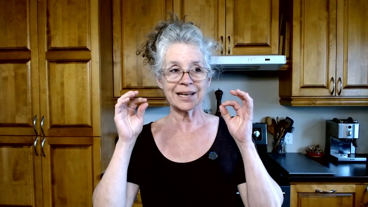 LES PRO-BIOTIQUES DANS LES LÉGUMES LACTO-FERMENTÉS, RÉEL OU PAS?