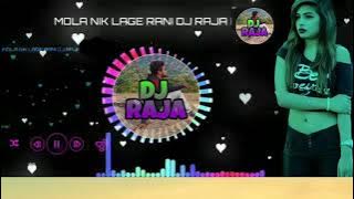 Mola nik lage rani | cg dj song | Dj Raja remix 2020