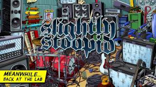 Time Won&#39;t Wait - Slightly Stoopid (Official Audio)