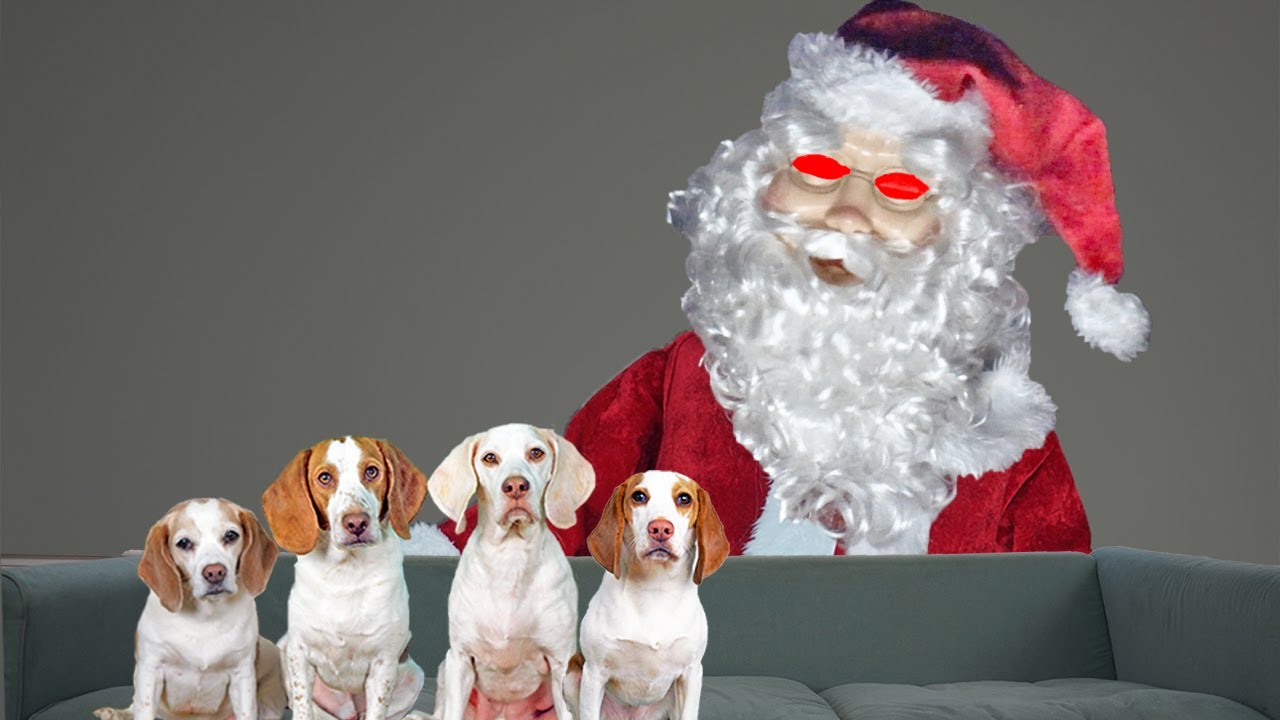 Can These Dogs Beat Evil Santa with Cuteness? Funny Dogs vs Krampus Prank on Christmas!