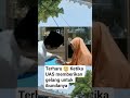 Bakti anak kepada ibunya 🥺 #shortvideo #shorts #short #viral #video #uas #ceramah #ceramahuas #fyp