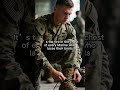 Evolve Minute Devil Dogs #usmc #devildogs #capcut #freedom #motivation #resetyourmindset