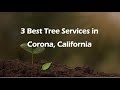 3 Best Tree Services in Corona, California | Arborists