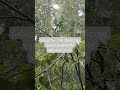 для тела и духа. #минимедитация #аудиомедитация