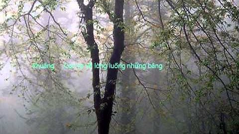 Bài học quét lá - ý nghĩa cuộc sống