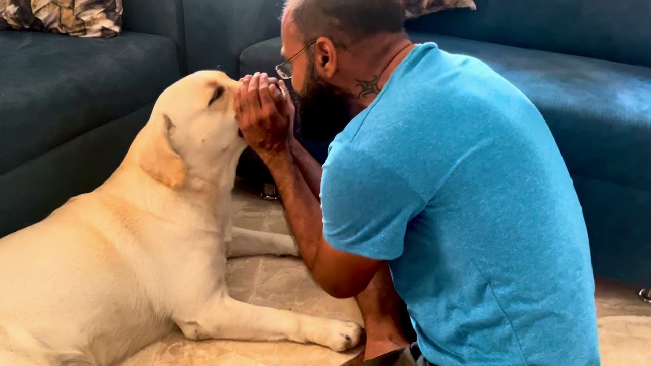 Retro Hindi Song for My Labrador 🐕🎶 | Emotional Dad & Dog Moment ❤️ | Old Bollywood Melody