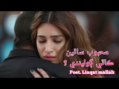 New Super Hit Shayari Tik Tok Liaqat Mallah Poetry Sindhi Poetry Sindhi Shayari Status