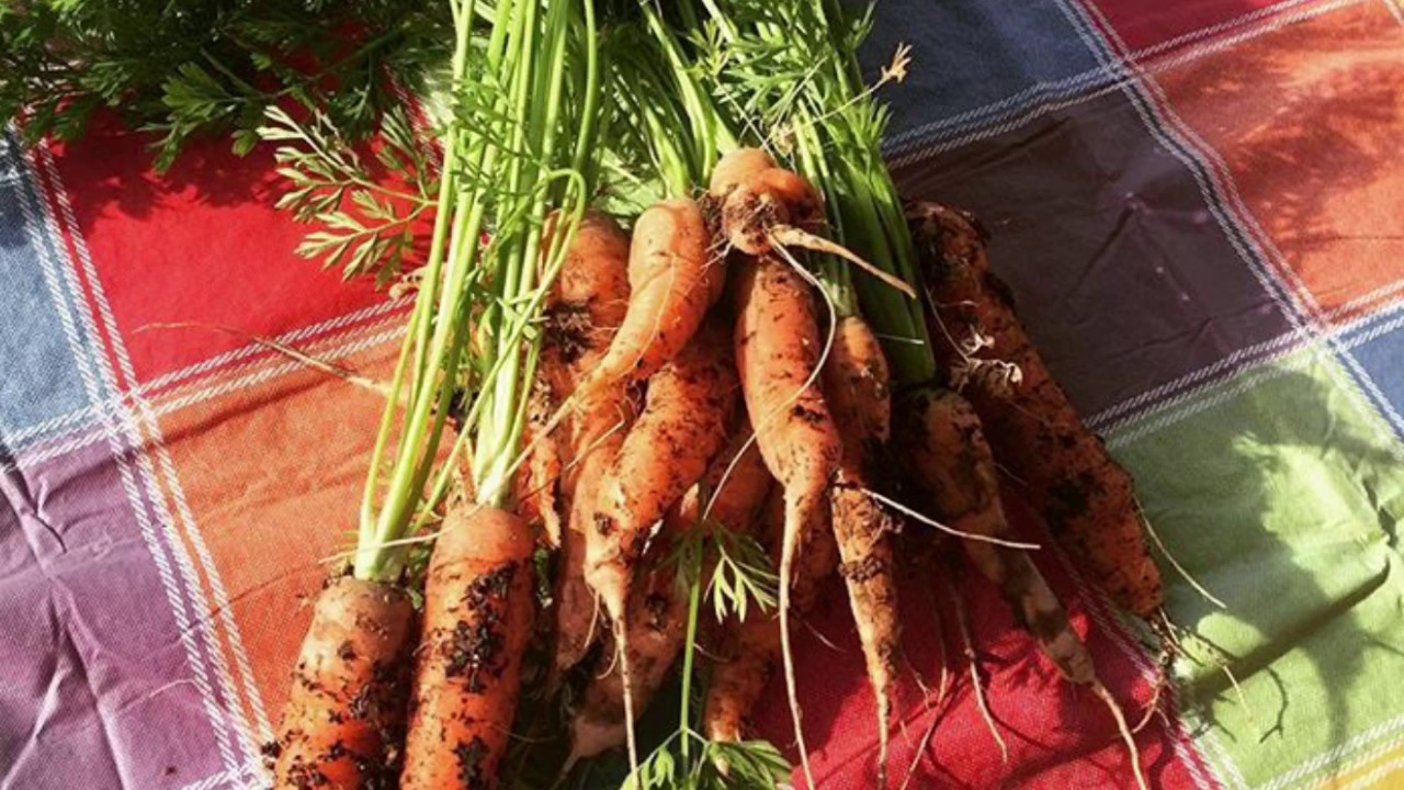 Grow Together - Food from 2016 - YouTube
