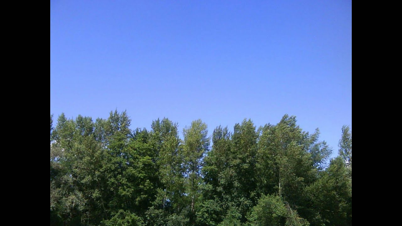 LAVALEY Là ou je serai...wmv