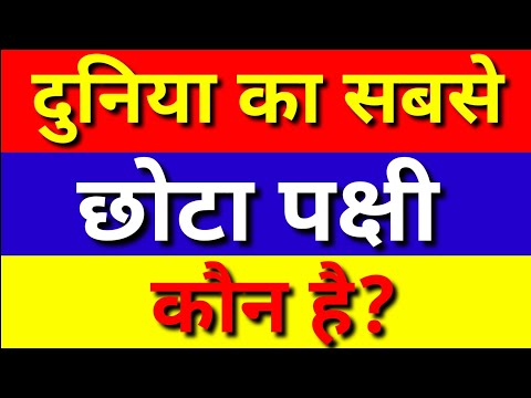 वीडियो: कौन सा पक्षी सबसे छोटा है