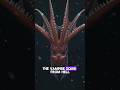 🦑 Meet the Real Vampire of the Ocean! #shorts #VampireSquid #DeepSea #OceanMystery