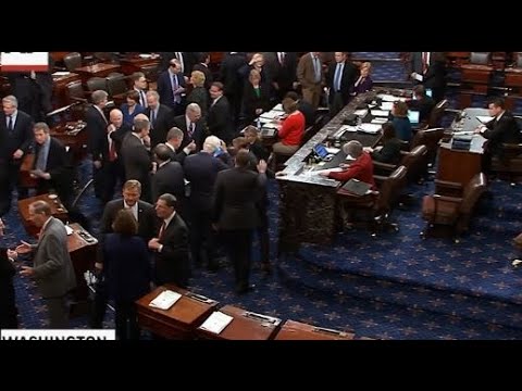 შეიზღუდოს ოლიგარქის არაფორმალური გავლენა საქართველოს მთავრობაზე - აშშ-ის კონგრესის მოთხოვნა