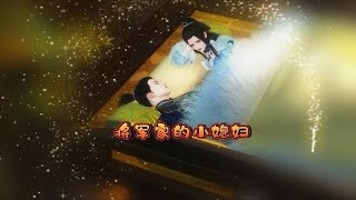 《将军家的小娘子》1~402